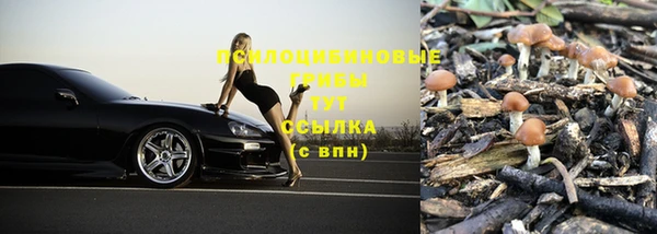 стафф Горнозаводск