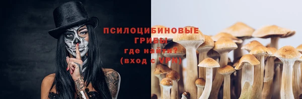 PSILOCYBIN Бикин