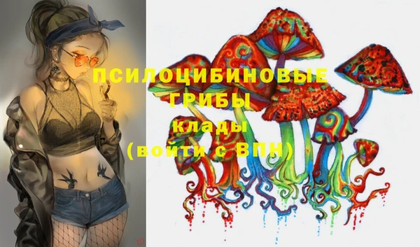 стафф Горнозаводск