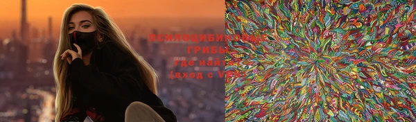 марки lsd Горняк