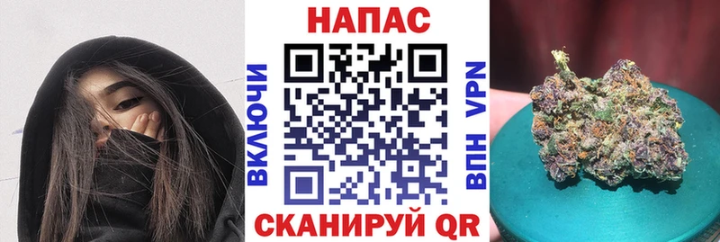 ссылка на мегу маркетплейс  Далматово  Конопля сатива 